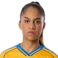 لاعب