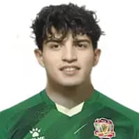 لاعب