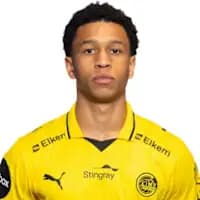 لاعب