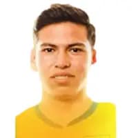 لاعب