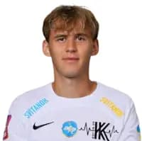 لاعب