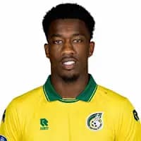 لاعب