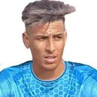 لاعب