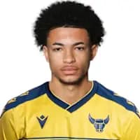 لاعب