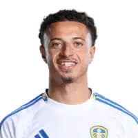 لاعب