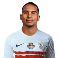 لاعب