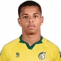 لاعب