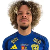 لاعب