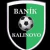 Banik Kalinovo