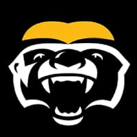 Brampton Honey Badgers