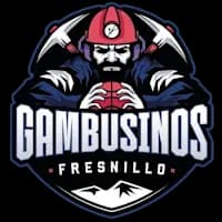 Gambusinos De Fresnillo