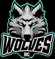 BC Wolves Vilnius