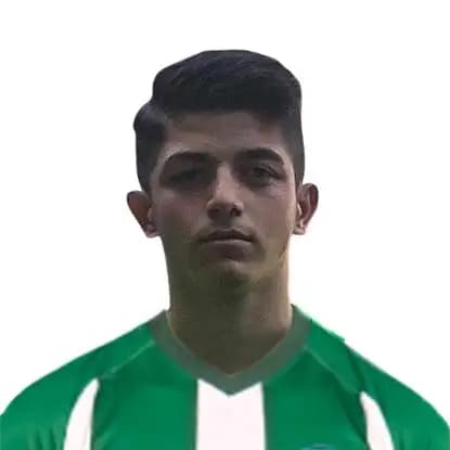 Şahin Dik