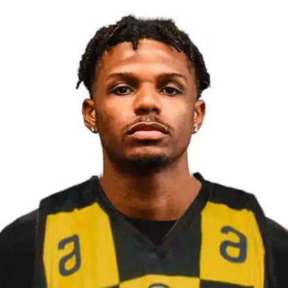 Romani Hansen