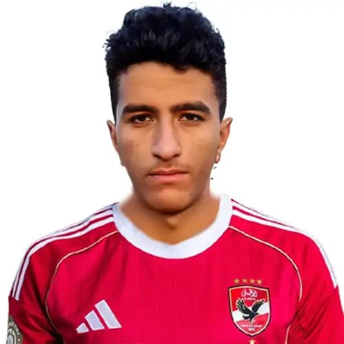 هشام مصطفى
