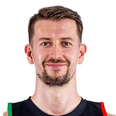 Mirza Bulic