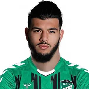 فارس بهلولي