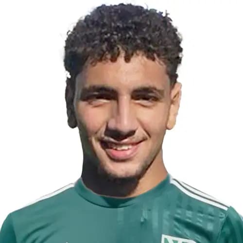 سيف محمد