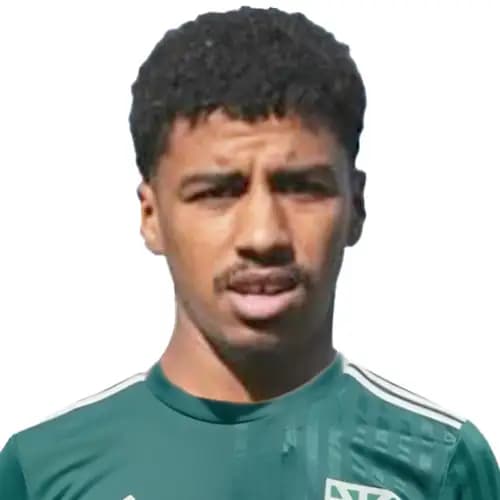 مصطفى عكاشة