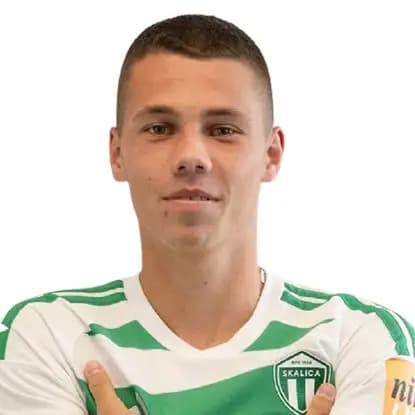 Michal Gulíšek