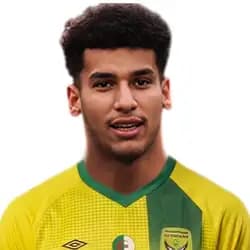 محمد الأمين نبي