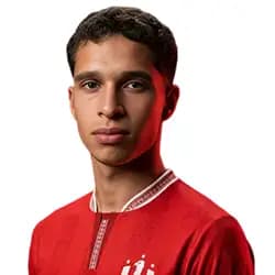 علي ديرانيه
