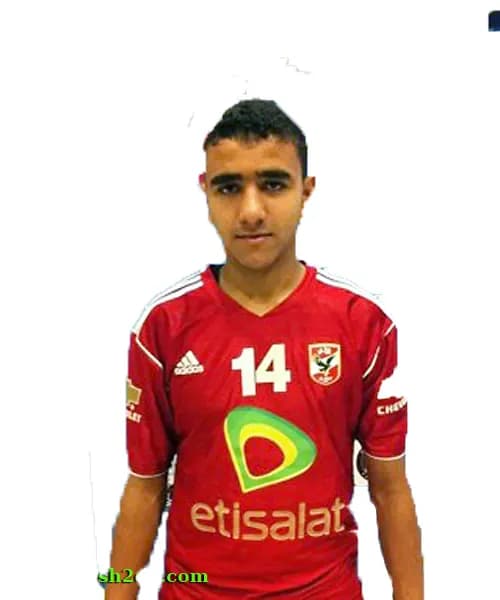 محمد البغدادى