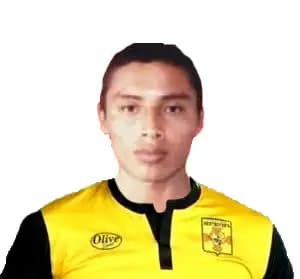 Luis Osinaga