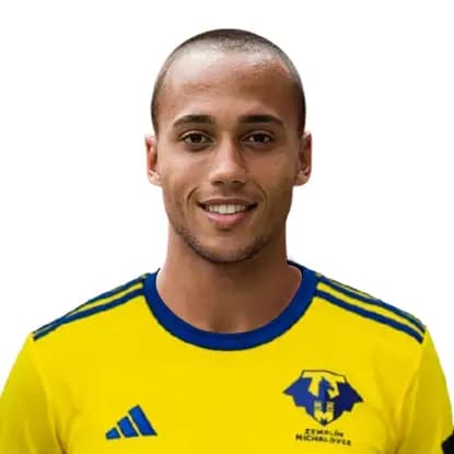 Gino van Kessel