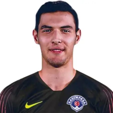Mehmet Enes Sari