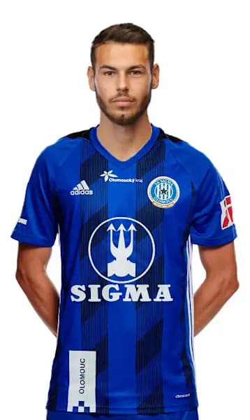 Dominik Radic