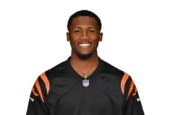 Tee Higgins
