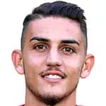 ستيفن بيساني
